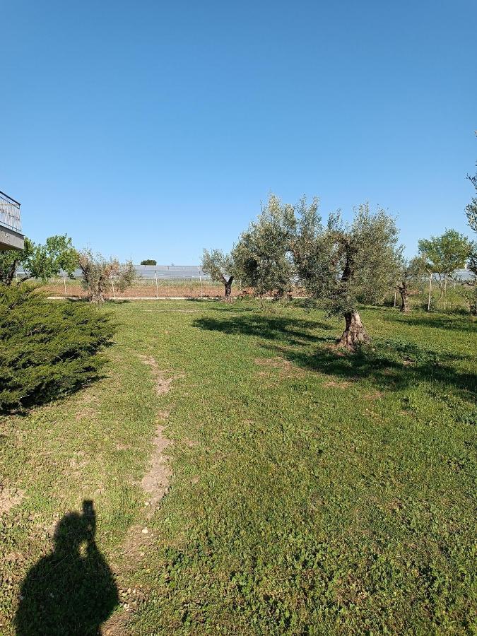 The Secret Olive House Villa Nea Michaniona Exterior photo