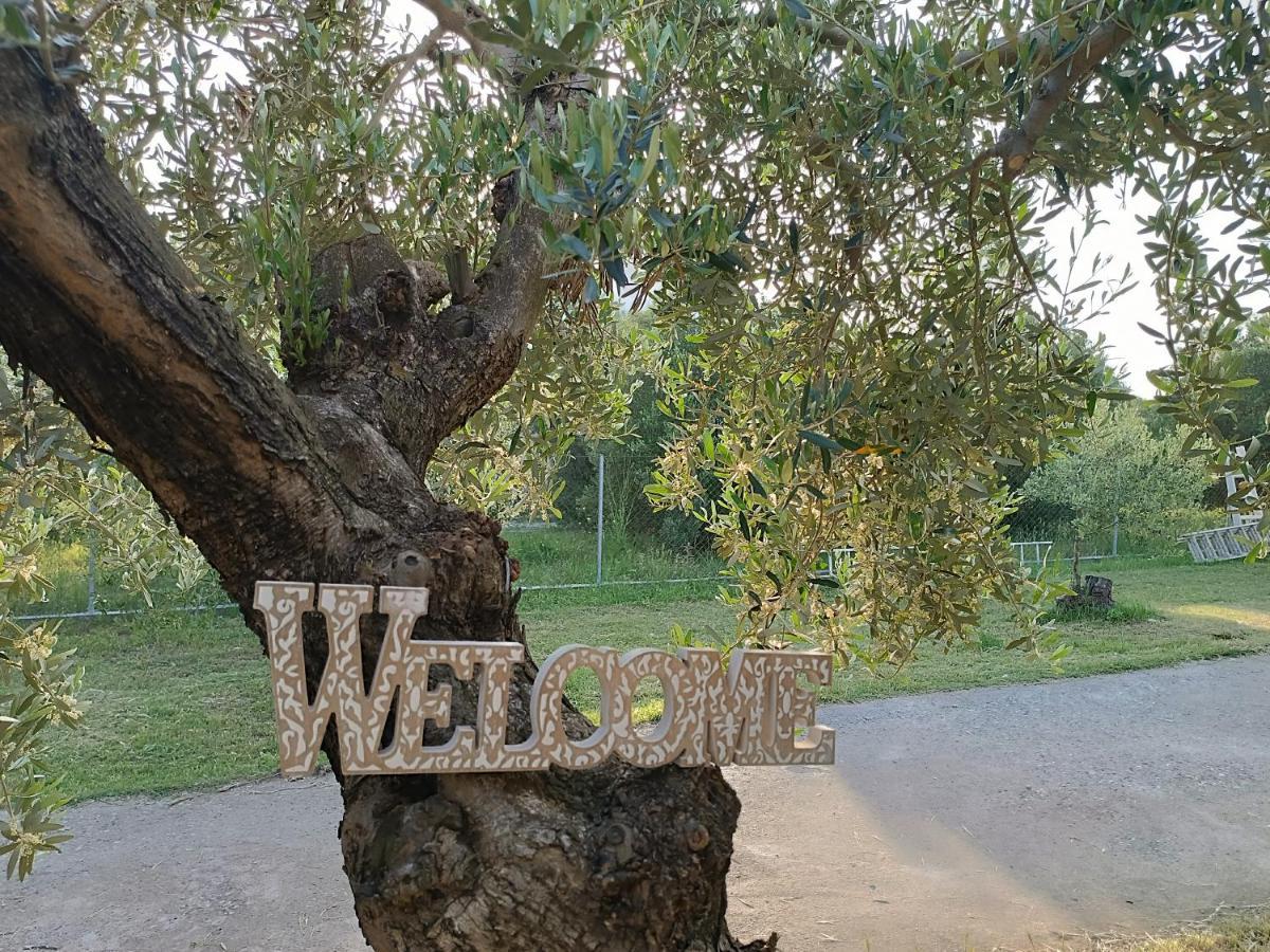 The Secret Olive House Villa Nea Michaniona Exterior photo